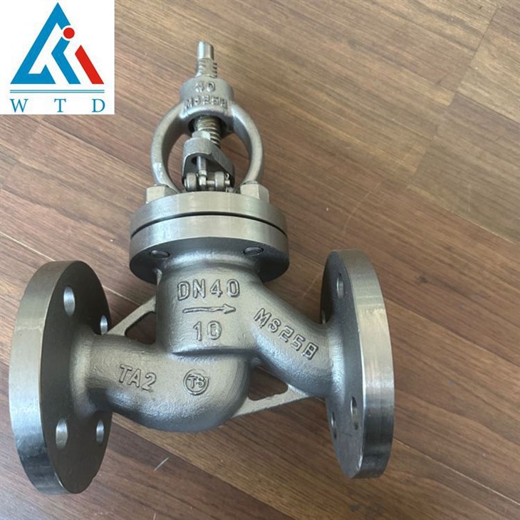 DN40 Titanium Flens Globe Ventil